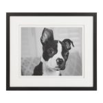 Постер Kooker 42,6х49,6