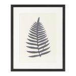 Постер Palm IV 43х53