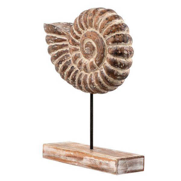 Лофт декор, ракушка АВРАН — изображение 2