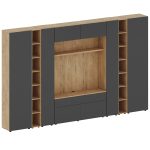 Композиция Modus g4