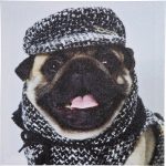 Постер Mops Fashion
