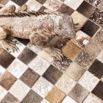 коллекция "Космо" 170*1*240