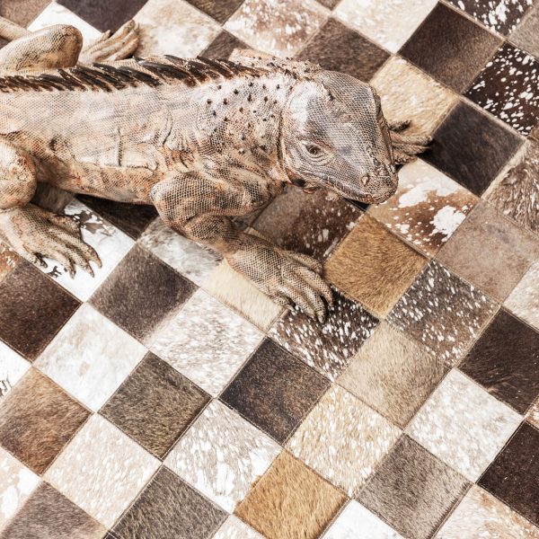 коллекция "Космо" 170*1*240