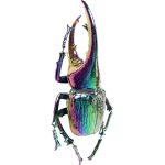 Украшение настенное Herkules beetle, коллекция "Жук Геркулес" 27*41*14, Сталь, Полирезин, Мультиколор — изображение 4