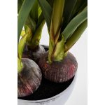 Предмет декоративный Amaryllis, коллекция "Амариллис" 40*97*40, Полиэтилен, Сталь, Цемент, Зеленый, Красный — изображение 2