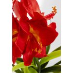 Предмет декоративный Amaryllis, коллекция "Амариллис" 40*97*40, Полиэтилен, Сталь, Цемент, Зеленый, Красный — изображение 4