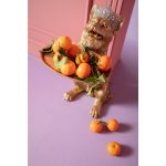 Статуэтка Corgi, коллекция "Корги" 30*37*50, Полирезин, Золотой — изображение 3