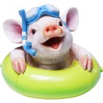 Копилка Pig