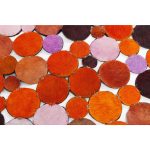 Коровья шкура