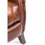 Каучуковое дерево