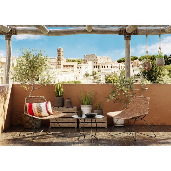 Стул Sansibar, коллекция "Занзибар" 78*71*60, Сталь, Полиэтилен, Коричневый — изображение 2