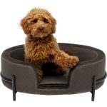 Лежак для собак Dream