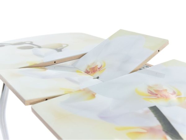 Rivera-fotopechat-TSvety-5_3 Стол «Ривьера» фотопечать Цветы-5, хром — изображение 5