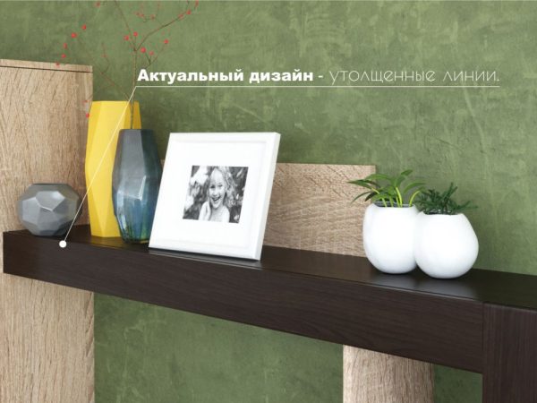 Стенка «Торонто», Дуб Сонома/венге — изображение 5