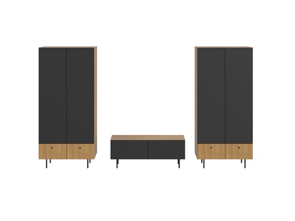 Композиция-Frida-13-1 Композиция Frida 13 черный, робиния брэнсон — изображение 2