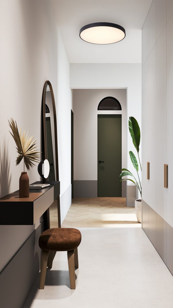 Потолочный светильник Milosh tendence 0875CL-30BK — изображение 2