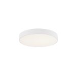 Потолочный светильник Milosh tendence 0875CL-60WT