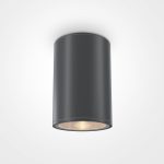 Потолочный светильник Outdoor O306CL-L12GF