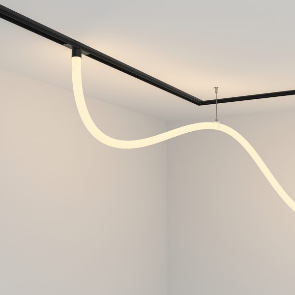 Трековый подвесной светильник Technical TR101-2-50W3K-B — изображение 2