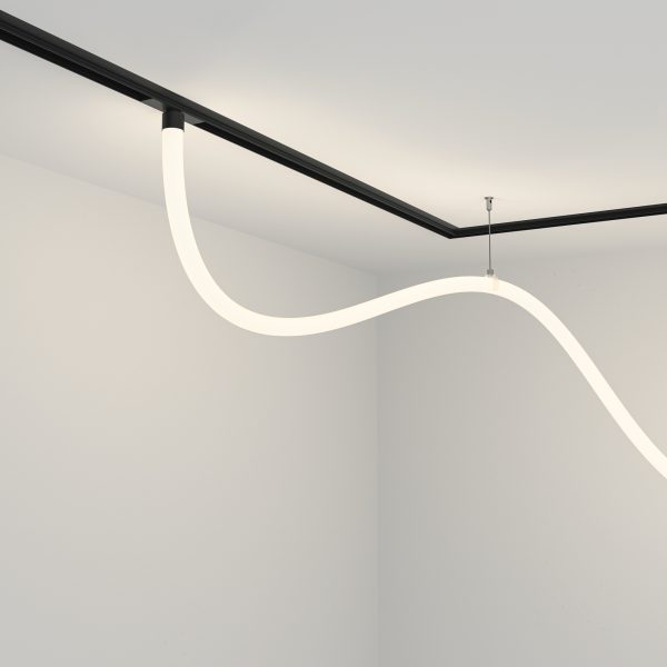 Трековый подвесной светильник Technical TR101-2-50W4K-B — изображение 2