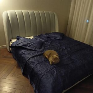 Сотрудничество с дизайнерами