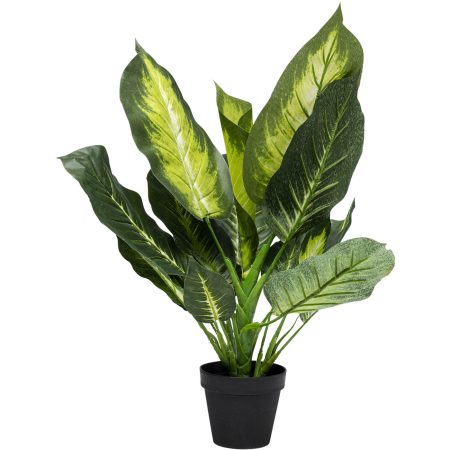 Предмет декоративный Dieffenbachia