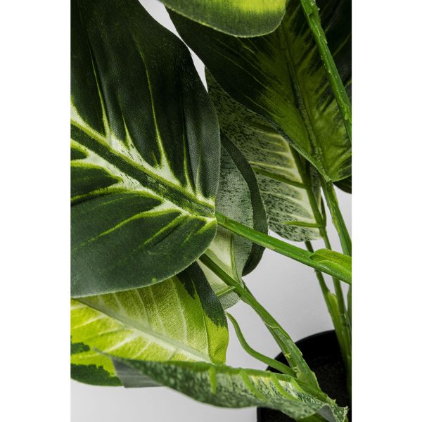 коллекция "Диффенбахия" 30*50*30