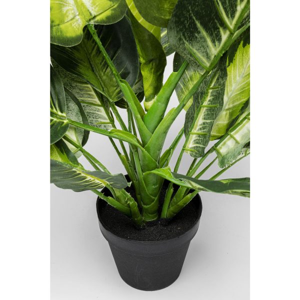 Полиэтилен