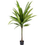 Предмет декоративный Dracaena