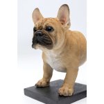 количество предметов 2 13*22*28