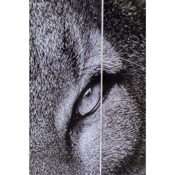 коллекция "Звери" 120*180*3