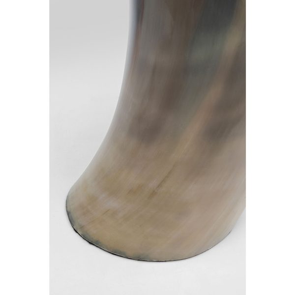 Верблюжья кость