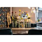 коллекция "Луг"