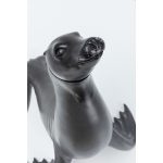 Бесцветный