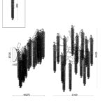 Настенный светильник (бра) Freya FR1010WL-03G