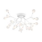 Потолочный светильник Freya FR5049CL-27W2