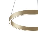 Подвесной светильник Maytoni MOD058PL-L22BSK — изображение 2