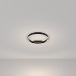 Потолочный светильник Maytoni MOD058CL-L25BK — изображение 3