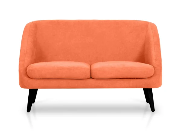 75e023d08b35e8459b842a0572b1fc05 Диван Corsica 2-местный