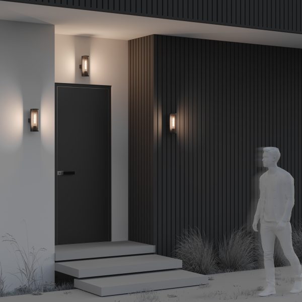 Настенный светильник (бра) Outdoor O451WL-01GF — изображение 2