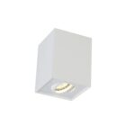 Светильник потолочный Crystal Lux CLT 420C WH