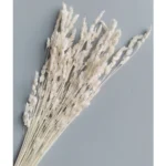 Сухоцвет Eжа сборная белый 55 см