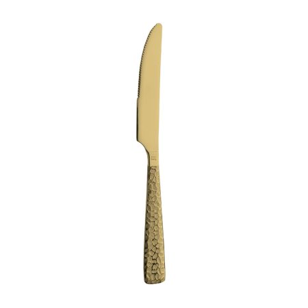 Нож столовый PINTINOX 1TG00003