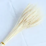 Сухоцвет Пшеница белый 40 см