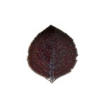 Блюдо Costa Nova VEP171-03118Z