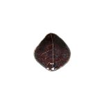 Блюдо Costa Nova VEP111-03118Z