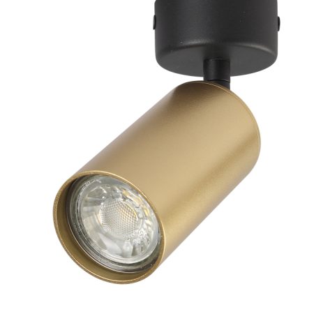 Светильник потолочный Crystal Lux CLT 015CW1R BL-GO