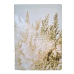 Тетрадь общая Nude