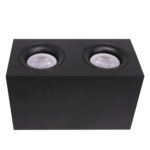 Потолочный светильник Technical C013CL-02B