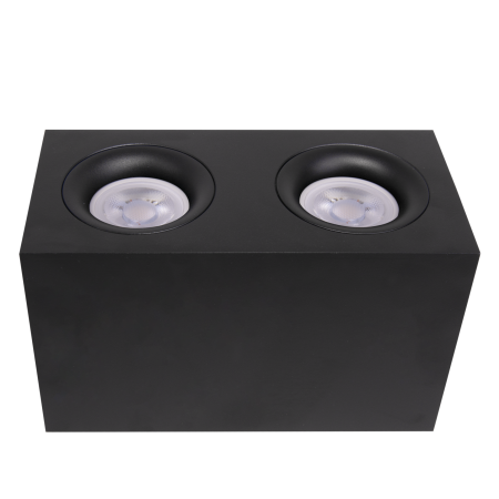 Потолочный светильник Technical C013CL-02B